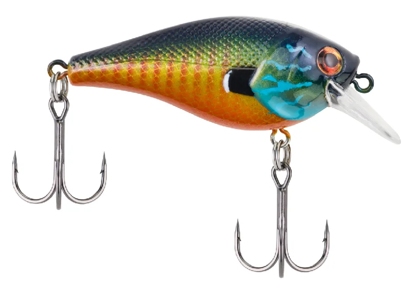 Fishing Lures for pet fun-Berkley Squarebull