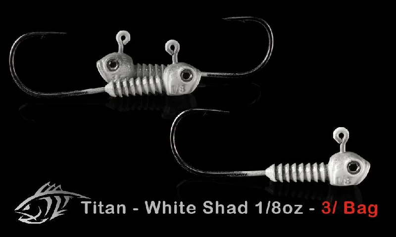 Fishing rigs for rocky streams-Titan Jig Heads