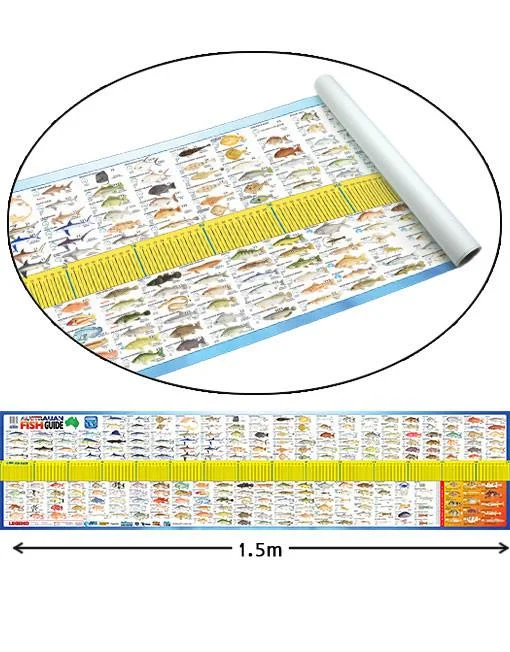 Roll Up Vinyl Australian Fish Ruler